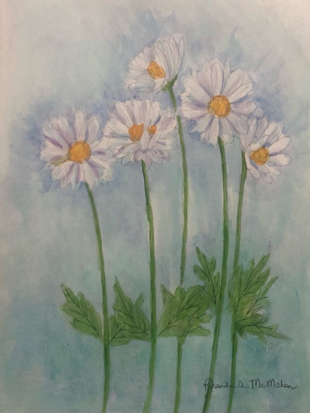 Daisies in the Garden Watercolor Painting